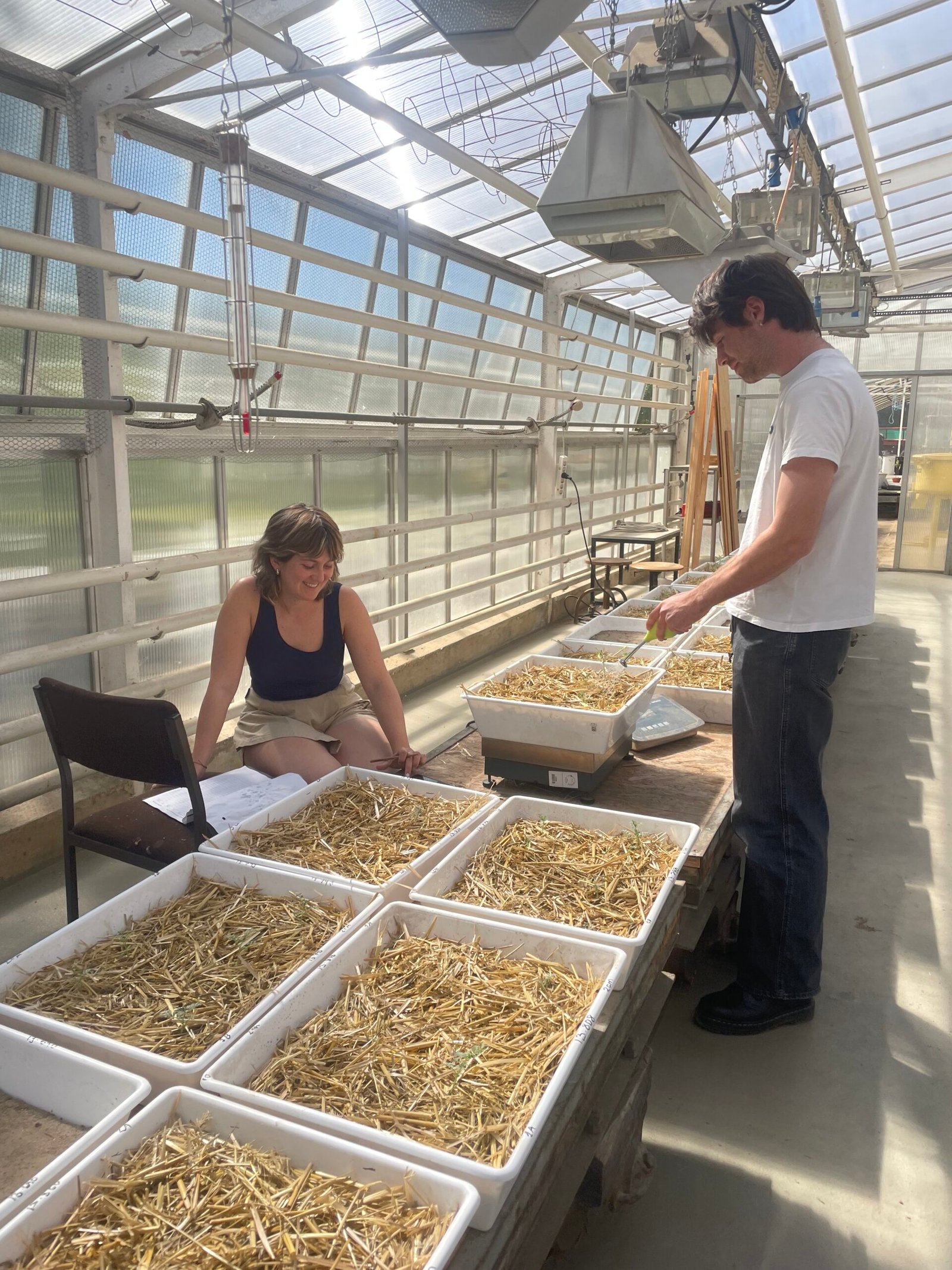 Mulch experiment 2025